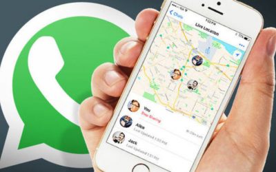 Steps To Enable WhatsApp Live Location Sharing For Android And iOS
